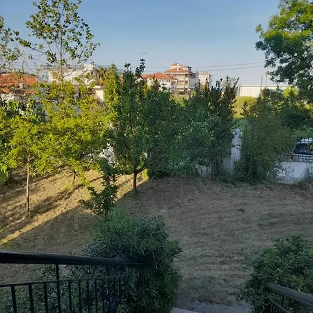 Leopard Stavros (Thessaloniki)