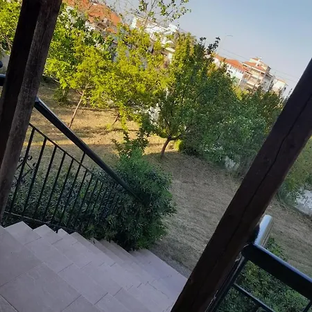 Leopard Stavros (Thessaloniki)